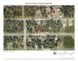 000 Rainbow Lakes Boulevard - Photo 3