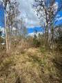 26931 Deacon Loop - Photo 4