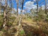26931 Deacon Loop - Photo 6