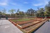 16090 Fringe Tree Drive - Photo 39