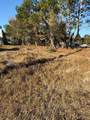 13786 Linden Drive - Photo 1