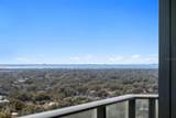 3101 Bayshore Boulevard - Photo 44