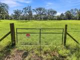 2720 Fawn Court - Photo 13