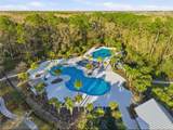 17674 Everlong Drive - Photo 49