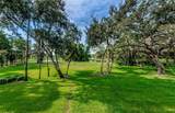 36750 Us Highway 19 - Photo 4