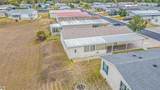 37436 Lilly Bea Avenue - Photo 44
