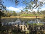 12824 Dunhill Drive - Photo 17