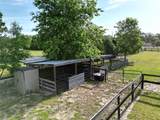 26914 Mondon Hill Road - Photo 66