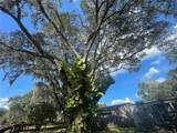 8824 Overlook Dr - Photo 33