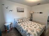 519 Needle Palm Street - Photo 13