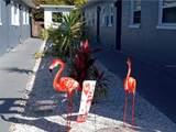 619 90TH AVE - Photo 1