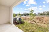 36148 Risa Michele Street - Photo 33