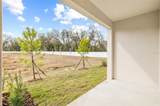36148 Risa Michele Street - Photo 34