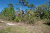 12934 Tanner Road - Photo 4