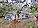 34582 Orchid Parkway - Photo 5