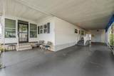 257 Sago Palm Street - Photo 3