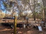 25408 Oneal Road - Photo 46