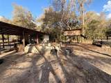 25408 Oneal Road - Photo 51