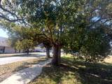 1802 Mitchell Avenue - Photo 4
