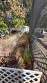 4912 Serena Drive - Photo 20