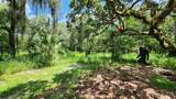 389 Longhorn Drive - Photo 11