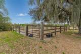 5614 Pless Road - Photo 64