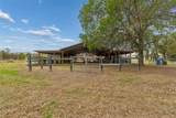 5614 Pless Road - Photo 65