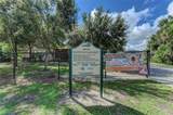 12029 Corsica Lane - Photo 58