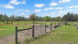 3106 Timberlee Road - Photo 46