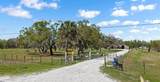 3106 Timberlee Road - Photo 9
