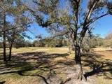 3505 Tarpon Woods Boulevard - Photo 22