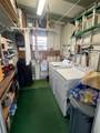 471 Needle Palm Street - Photo 6