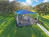 32127 Powderpuff Mimosa Drive - Photo 24