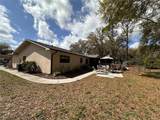 12805 Pecan Tree Drive - Photo 5