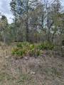 0 Mazette Road - Photo 4
