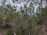 0 Gannet Avenue - Photo 11