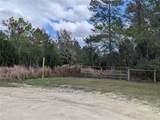 0 Gannet Avenue - Photo 3