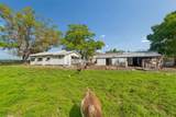 6213 Orient Road - Photo 49