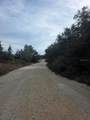  62 Place - Photo 4