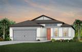 10025 Trellis Vine Way - Photo 1