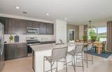 9877 Trellis Vine Way - Photo 4