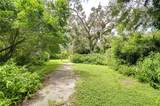 10904 Hackney Drive - Photo 9