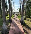17011 Alderman Turner Road - Photo 4