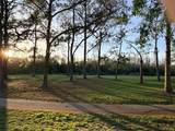 16302 Rambling Vine Drive - Photo 36