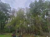 11641 Bruin Drive - Photo 13