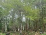 11641 Bruin Drive - Photo 14