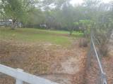 11641 Bruin Drive - Photo 2