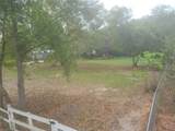 11641 Bruin Drive - Photo 4