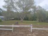 11641 Bruin Drive - Photo 8