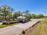 2802 Hammock Drive - Photo 71